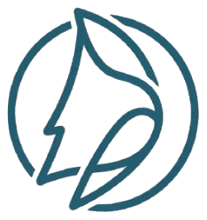 SAIL logo